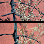 Tak tady to, Dano, máš...