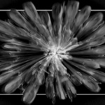 "galaxy II. "