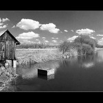 Boudo budko, kdo v tobě přebývá? ...