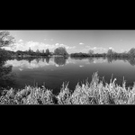 Rybníček brčálník :o)