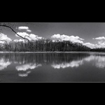 o5 jeden z mnoha rybníčků za domem