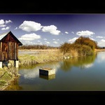 Boudo budko, kdo v tobě přebývá? ...  (barevně)