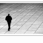 Cizinec v zajetí svislic :o)