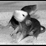 <b>Já na bráchu,brácha na mě :)</b>