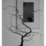 Japonské variace II.