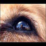 Takhle vidím svého pána...