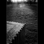 Západ slunce v parku