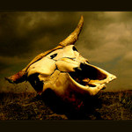 A čas Tvůj se naplnil...