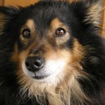 Denny
