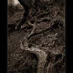  ...uchop jak můžeš...(...ze starých časů?)