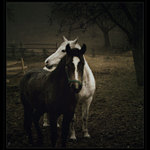 <b>...kdo stojí při Tobě???<hr></b> (...vzpomínky...)<br><b>