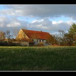 Na samotě u lesa...