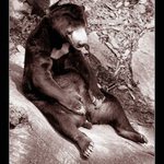 Nuda v ZOO
