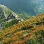 Západné Tatry, Roháče