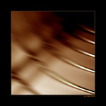 <b>...Línie III...</b><br>