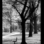 ... poledne v parku ...