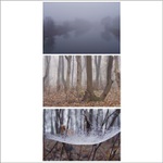 ... jak se chytá mlha