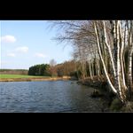 Odpolední rybníkofka z Vysočiny..