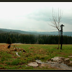 Zmoklá Šumava