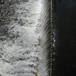 Splav
