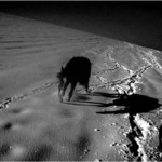 Sethi III. ...On The Moon