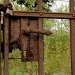 Zakázaná zahrada I.