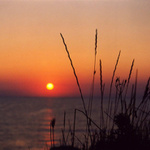 sluníško x tráva ...