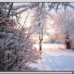 .. do vánoční kolekce