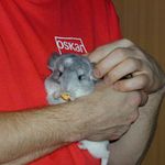 Absolutní bezpečí