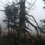 Podzim v Jeseníkách