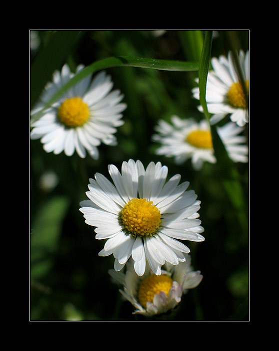 <b> :: seven :: </b>