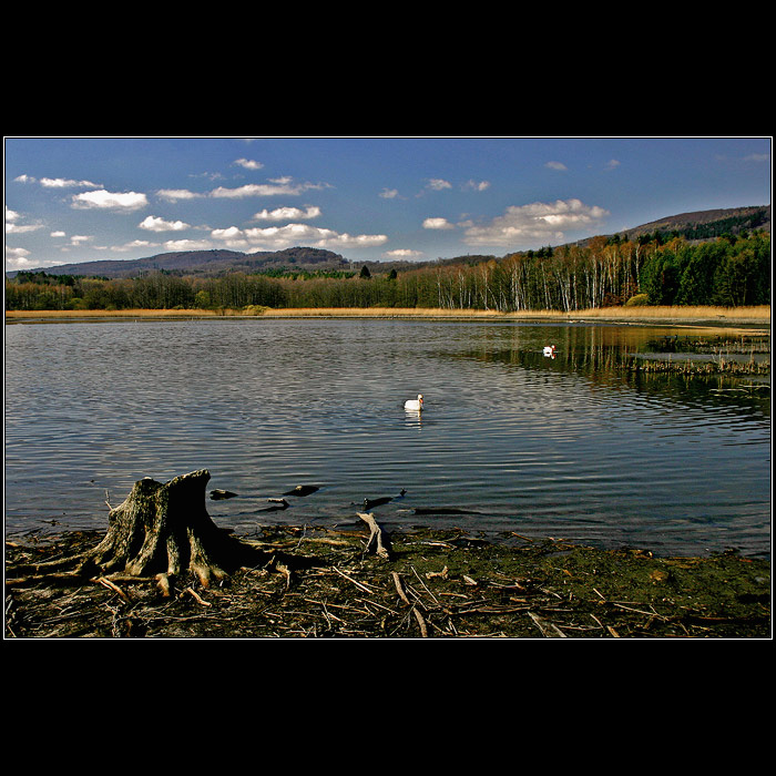 Od Koňského rybníka...