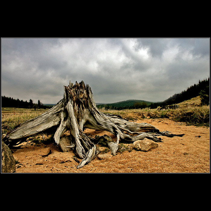 Ošlehaný větrem a bouřemi....