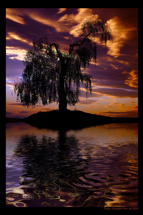 <b> - APOCALYPSA - </b>