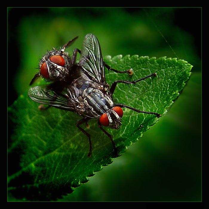 <b>- Květen Lásky čas -</b>