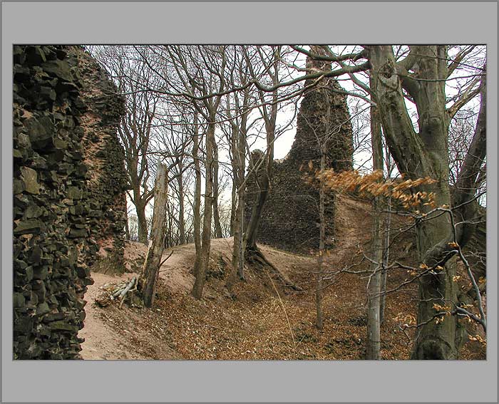 Zřícenina hradu <b>Bradlec</b>