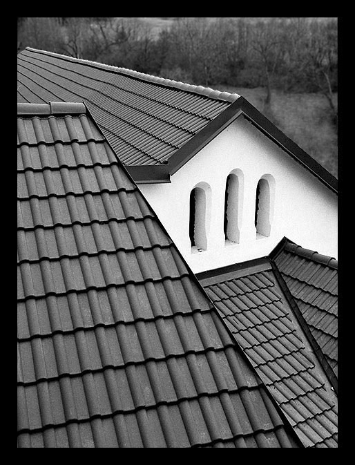 Linie