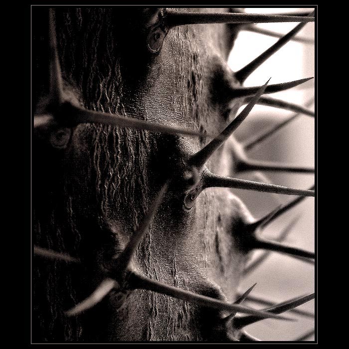 <b>.."Na druhý pohled...DO DUŠE"..