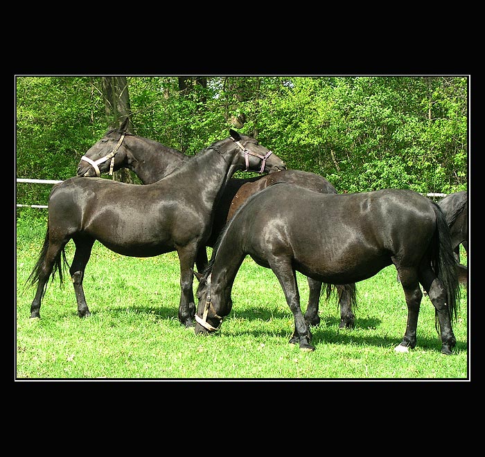 Vzájemnost je všechno