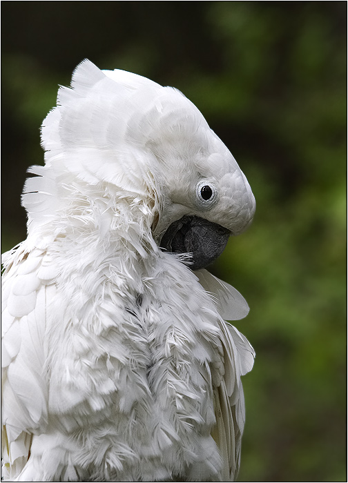 Dobrý den všem :o)