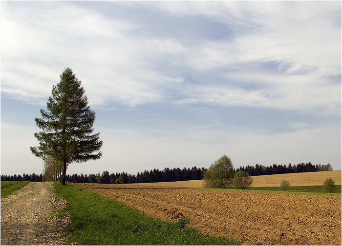 <B>cesta u Hájku</B>