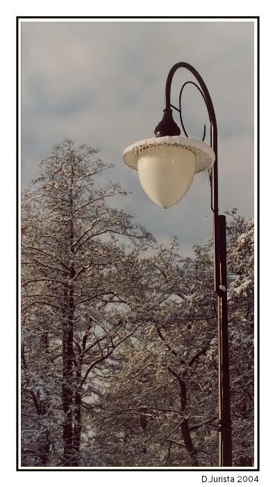 První den roku 2004