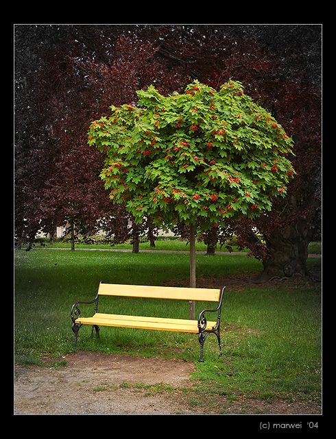 Rozdil generaci ...