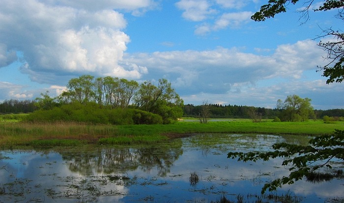 Novořecké močály