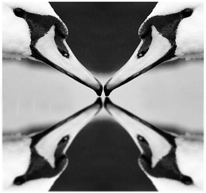 "Abstraction"