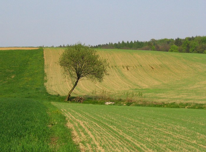 Krajina