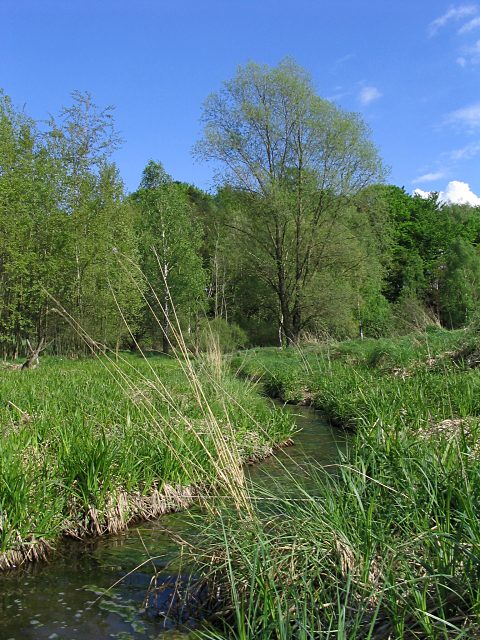 Krajina
