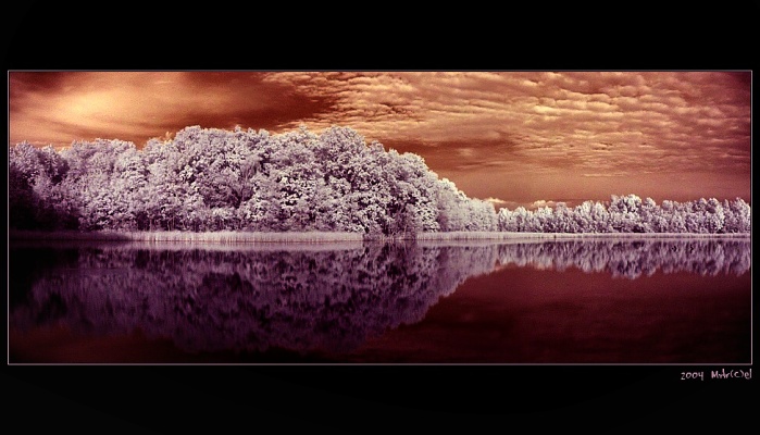 Infra rybnicek co mi roste za domem :o)