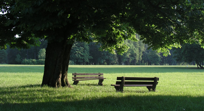 Čekání na kolemjdoucí...