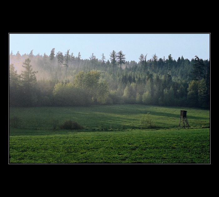 Po večerním dešti